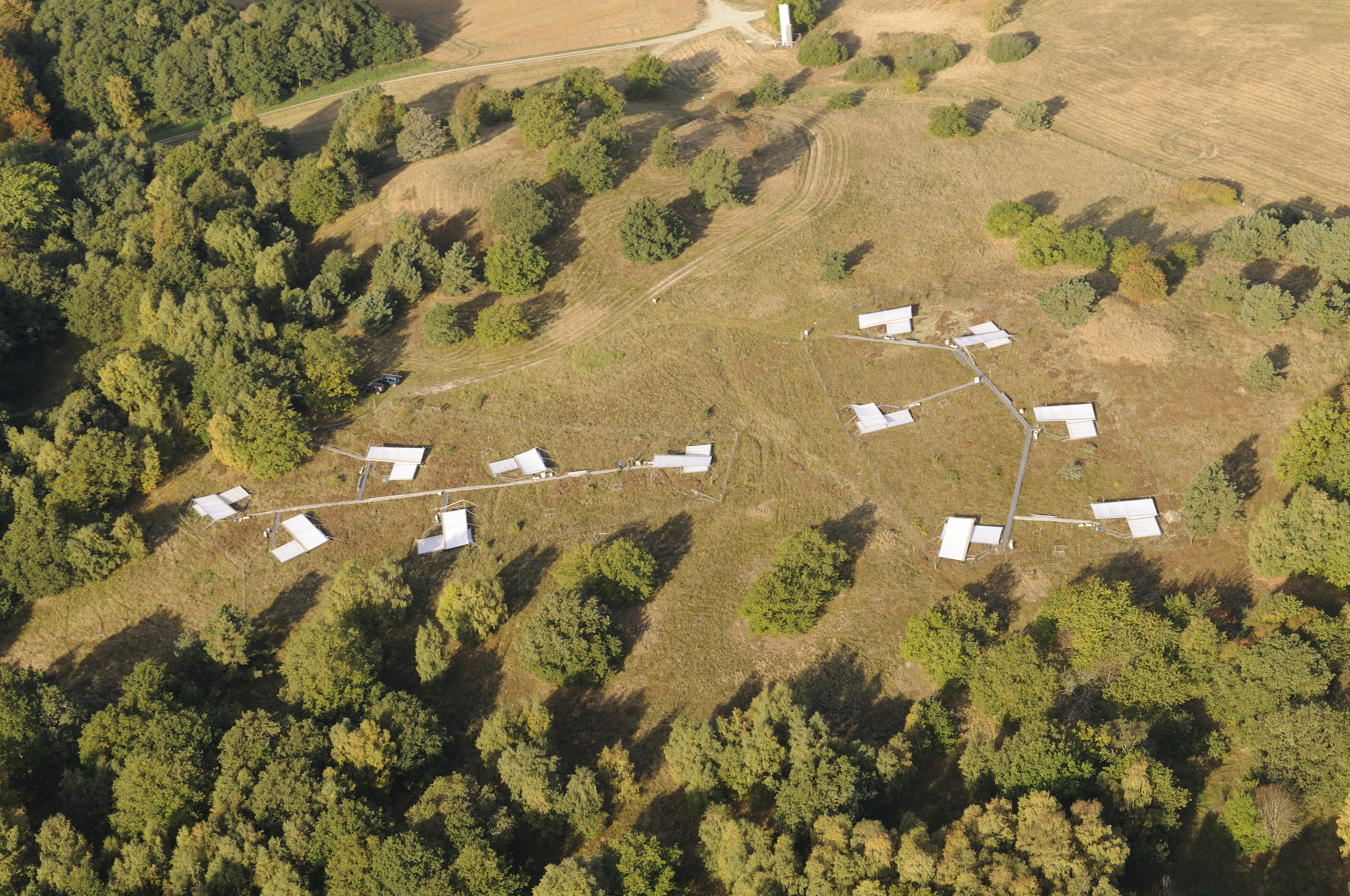 AerialphotoDroughtandheatcurtainsBrandbjerg_Sep2009